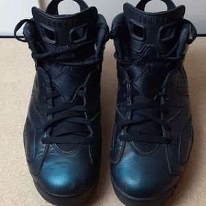 Jordan 6 chameleon mens 11.5